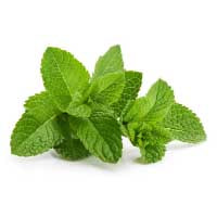 Peppermint: