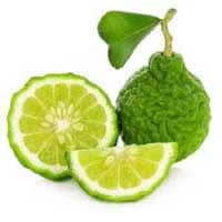 Bergamot: