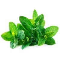 Spearmint: