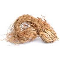 Vetiver: