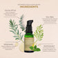 Decongest Cold & Cough Blend